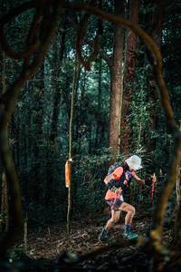 BIB: 
                            <button type="button" onclick="openModal(25238974)" class="btn btn-primary btn-sm float-right btn-popup" data-toggle="modal" data-target=".modal-high-quality">
                        <i class="fas fa-shopping-cart"></i> Add to Cart
                    </button>
                                            <button type="button" onclick="isThisMe(25238974, true)" class="btn btn-success btn-sm float-right btn-popup btn-isme hidden" data-toggle="tooltip" data-placement="bottom" title="นี่คือรูปของคุณใช่ไหม คลิกที่นี่เพื่อเอาเข้าอัลบั้ม">
                        <i class="fas fa-plus"></i> Add to album
                    </button>
                    <button type="button" onclick="isThisMe(25238974, false)" class="btn btn-warning btn-sm float-right btn-popup btn-isnotme hidden">
                        <i class="fas fa-ban"></i> Remove from album
                    </button>